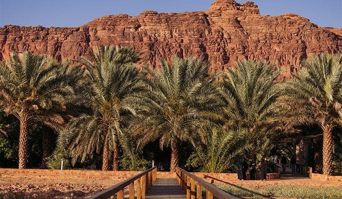 AlUla: Oasis Heritage Trail Tour